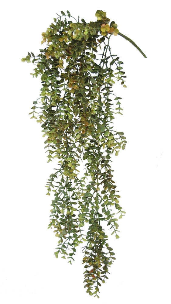 Boxwood Hanging 70 cm Green