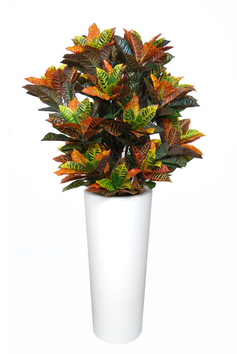 Croton Bush Lux 160 cm Multicolor 