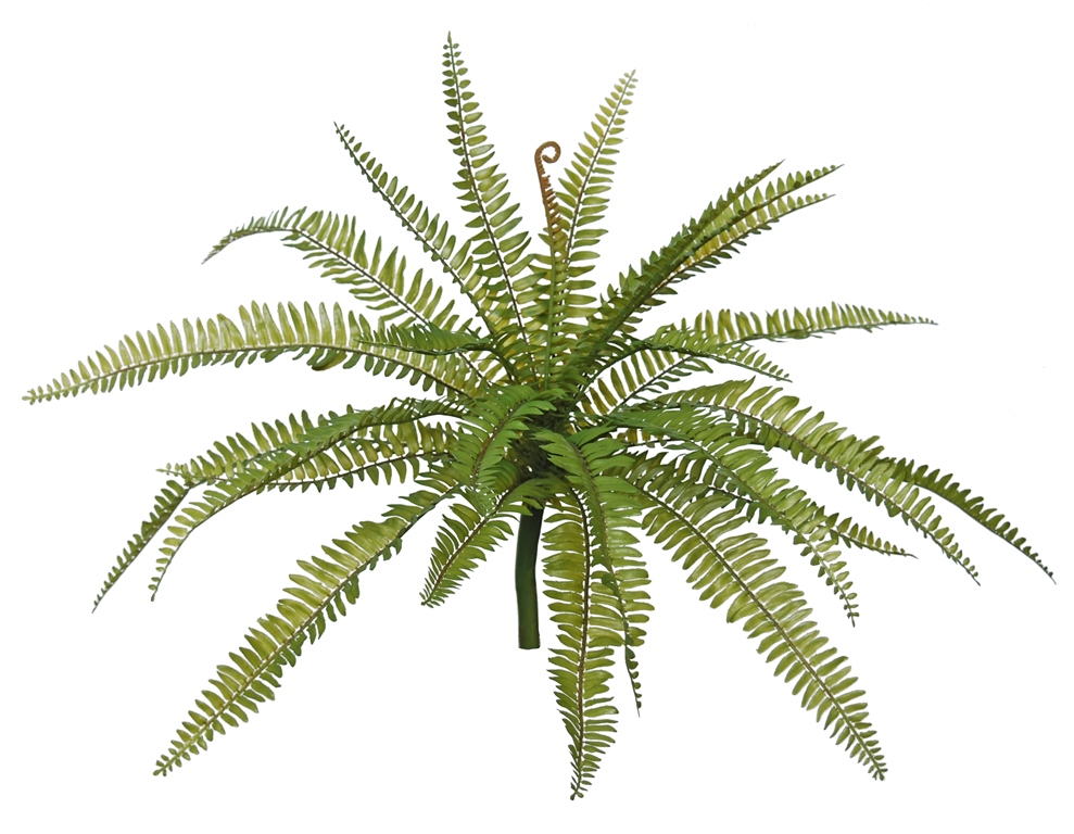 Fern 58 cm Green 