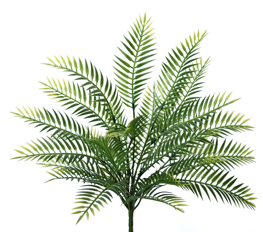 Fern Eden Bush 34 cm Green