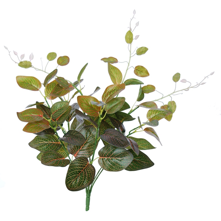 Fittonia Bush 48 cm Green Red 