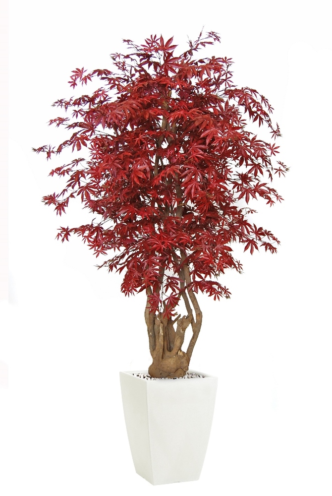 Maple Tonic 200 cm Burgundy