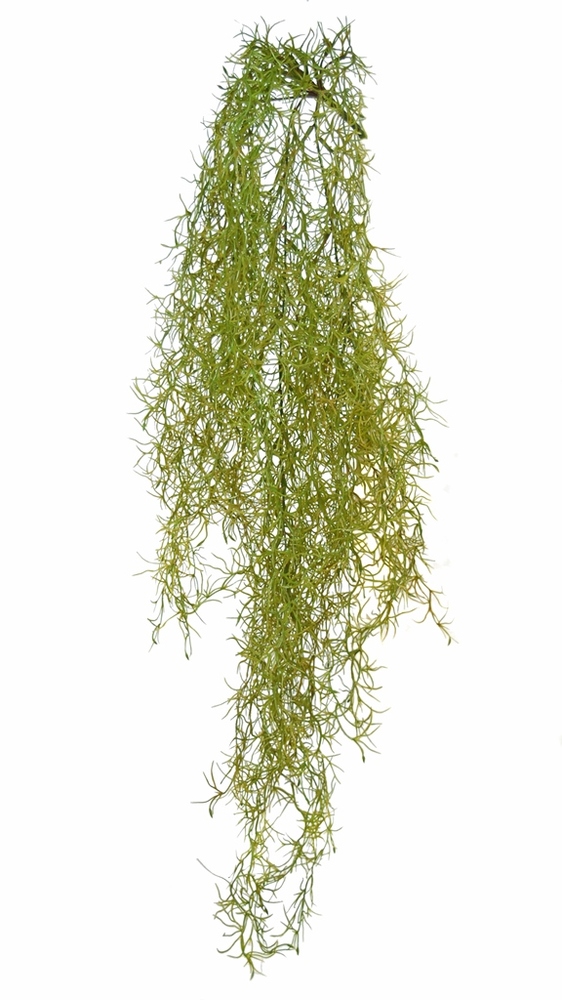 Tillandsia 90 cm Verde