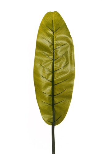 Banana leaf