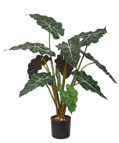 Alocasia Plant w pot 70 cm Green Red