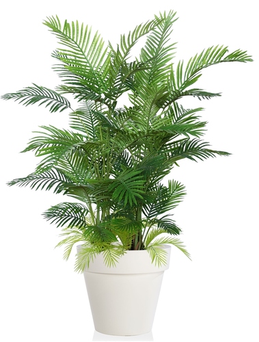 Areca Lux 190 cm Green 