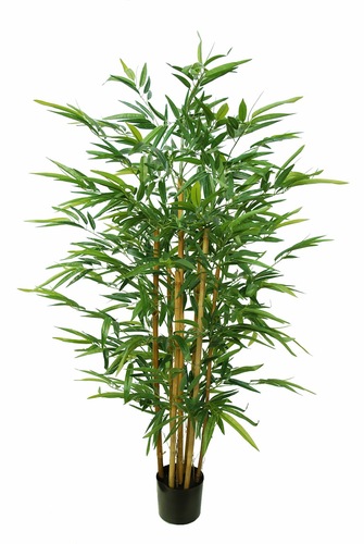 Bamboo Arrangement 150 cm Green