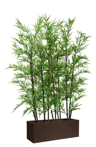 Bamboo Barriera Nera 200 cm Verde