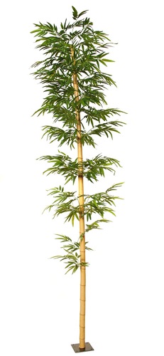 Bamboo Medium Single
