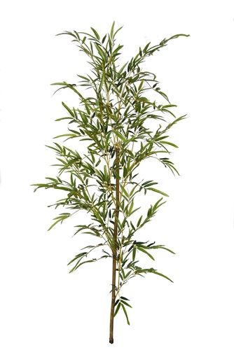 Bamboo Single Tree 160 cm 