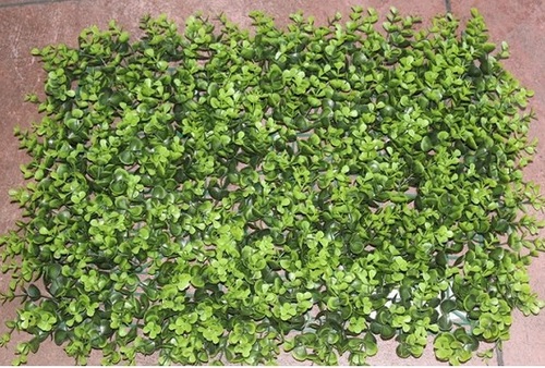 boxwood mat 40 x60