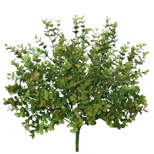 Boxwood Bush 45 cm Green