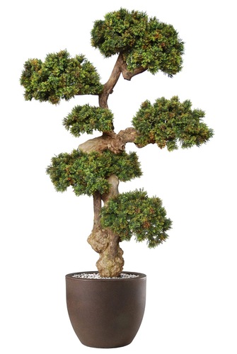 Boxwood Mini Pon Pon 190 cm Green