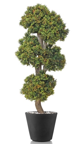 Boxwood Pon Pon 130 cm Green