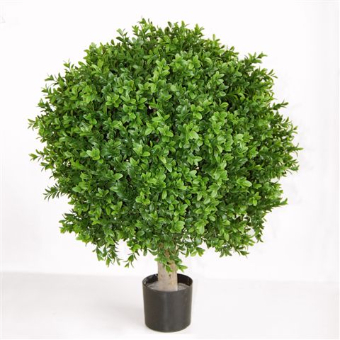 Boxwood Sphera +ÿ 50 h.70 cm Green 