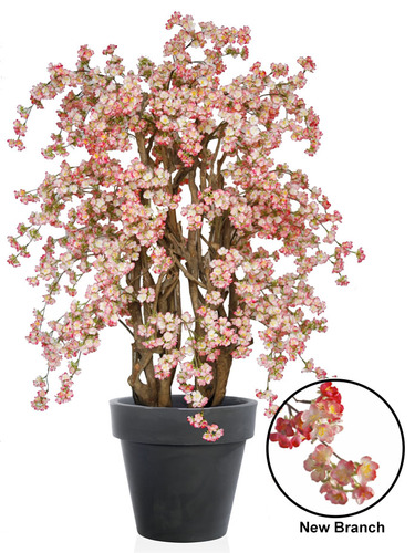 Ciliegio Selvaggio Lux 180 Cm Rosa