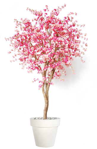 Cherry Wild Tree 250 cm Pink 