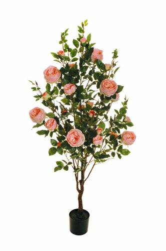 Roses Tree