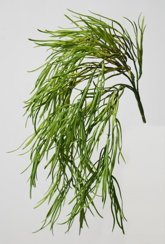 Coral Grass Hanging 45 cm Green