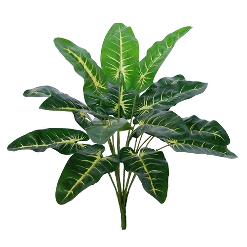 Croton Bush 45 cm Green 