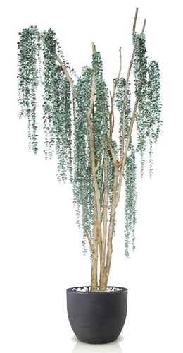 Eucalypthus Upper 220 cm Silver