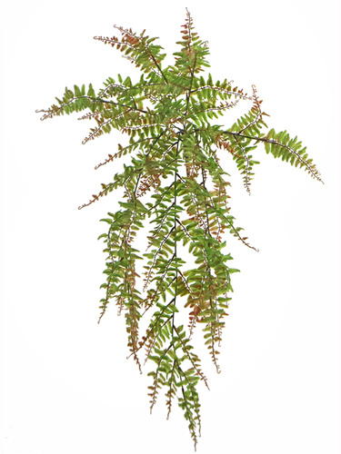 Fern Lady Hanging 80 cm Multicolor 5611MLT