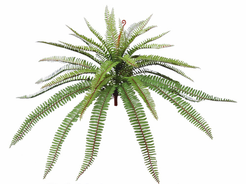 Fern Valley Large 50 cm Green