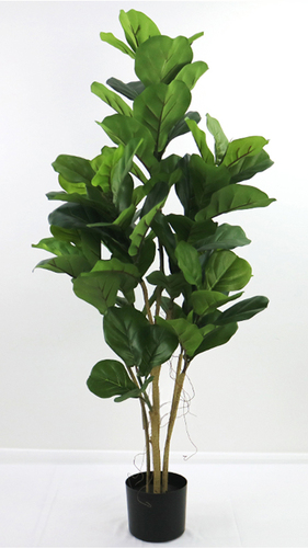 Ficus Lyrata Plant w pot 120 cm Green 5621GRN