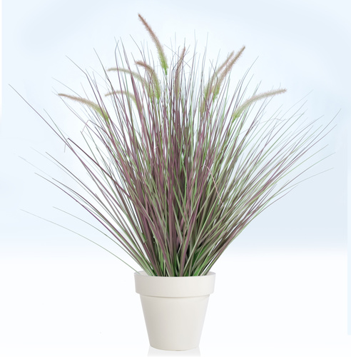 Fountain Grass 90 cm Green Vine 