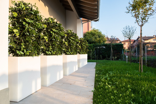 Jasmine ANTI UV h 100 artificial hedge 3D a 360 ° for planters outdoor passionecreativa