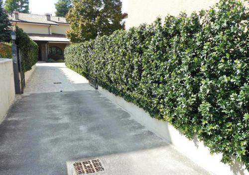 Artificial 3D Osmanthus hedge h 120 cm mounted on an existing fence passionecreativa