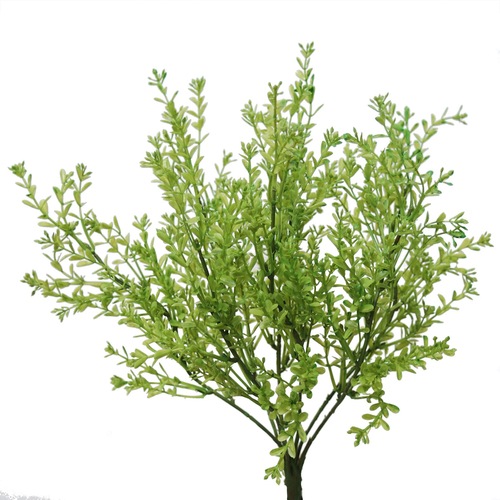 Ginestrella Bush 35 cm Green