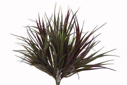 Grass Bush Vanilla 40 cm Burgundy