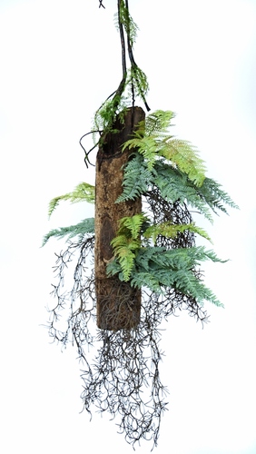 Hanging Fern Stratus 50 cm Verde