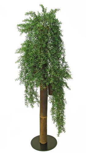 Hanging Senecio Column d 50 cm h 160 cm Verde