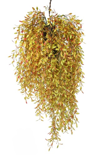 Hanging Willow  70 cm Multicolor