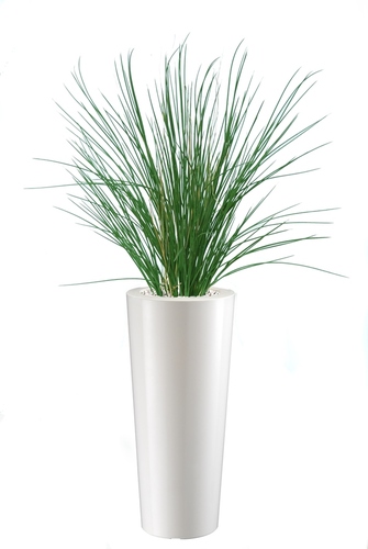 Honey Grass  130 cm Green