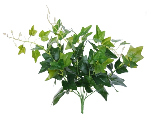 Ivy Bush 48 cm Green 