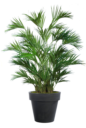 Kentia Palm Luxury x 4 240 cm Verde