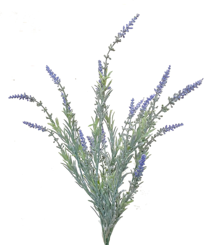 Lavander Bush 55 cm Floccata