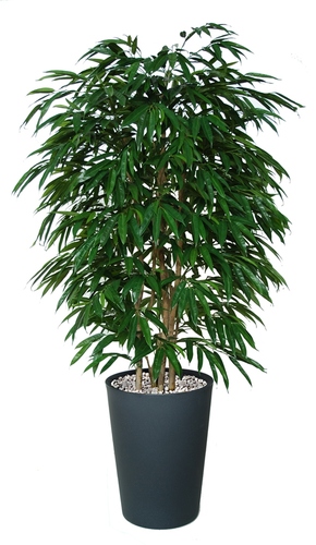 Longifolia Forest 180 cm Green