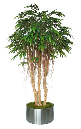 Longifolia Mini 3D Tree 220 CM Green