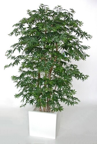 Maple Forest 180 cm Green