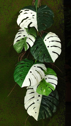 Monstera Deliciosa Garland 130 cm Verde Bianco