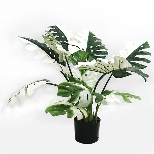 Monstera Deliciosa Plant w pot 85 cm Green White 