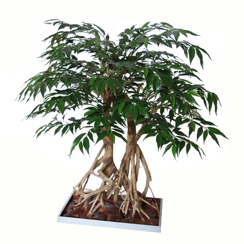 Myrsifolia Root Bonsai 80 cm Verde