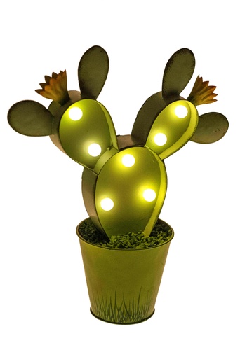 Cactus lamp