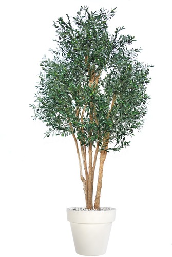 Olive Upper 260 cm Green