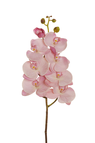 ORCHID 102 CM col. light mauve