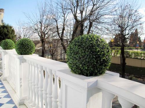 boxwood ball terrace passionecreativa